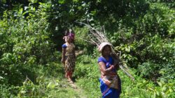 Reviving Odisha’s Green Cover: Suprativa’s Youth-Led Environment Movement